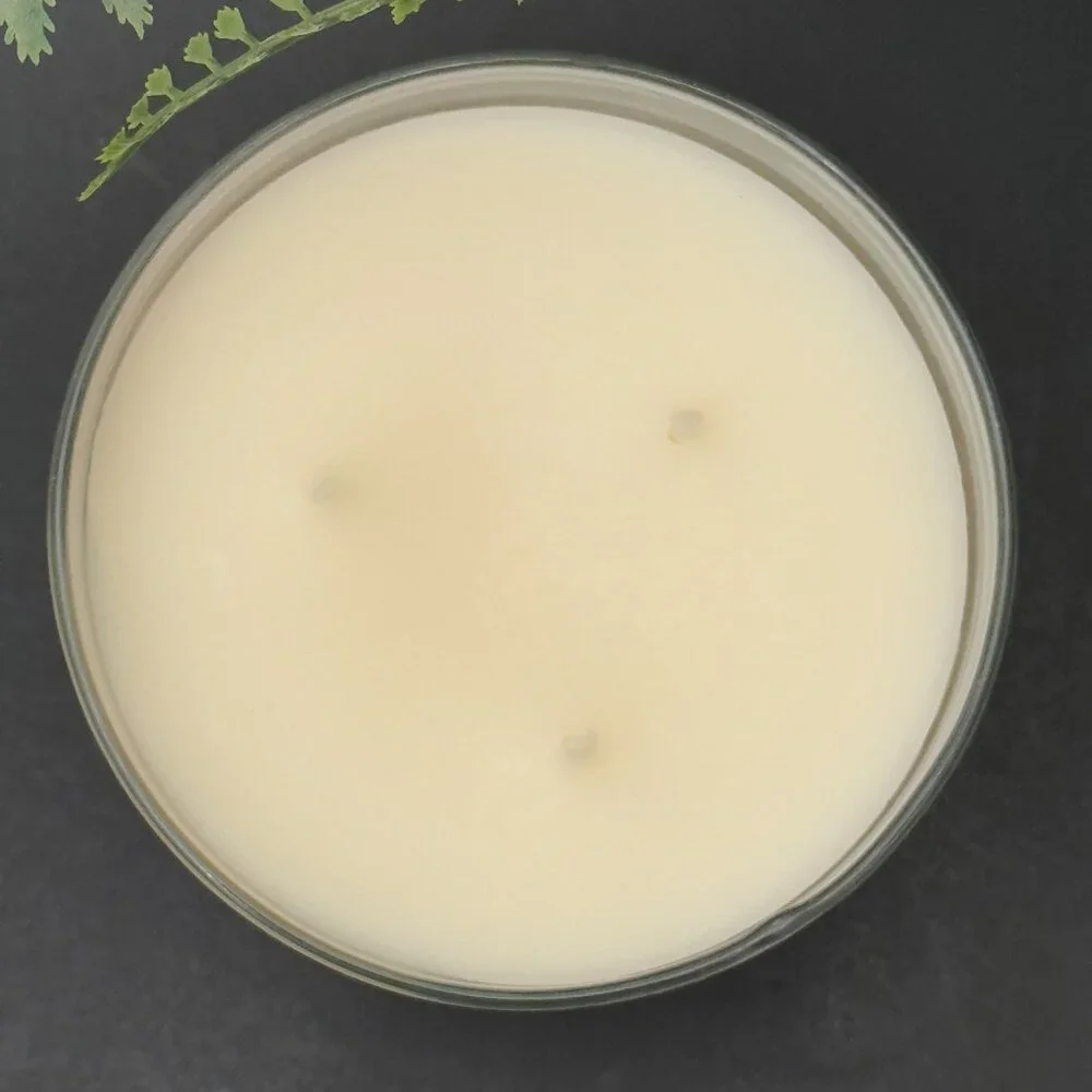 BBW Pistachio + Toasted Vanilla Bath & Body Works 3 Wick Candle